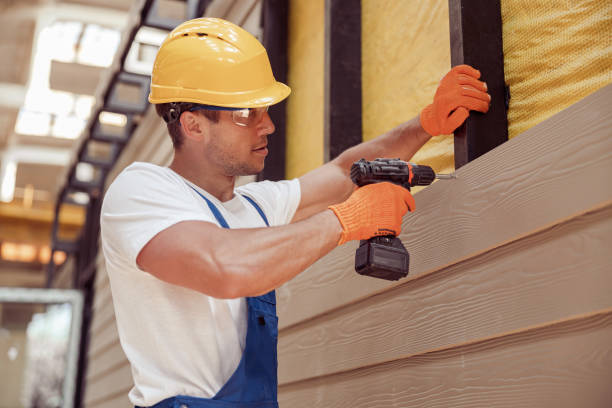 Best Custom Trim and Detailing for Siding  in Silver Grove, KY